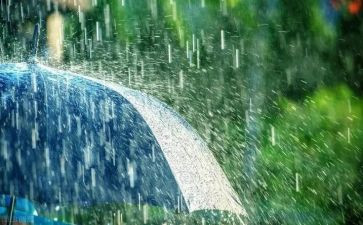 下雨了,我作文模板6篇