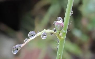 和雨的游戏教案参考8篇
