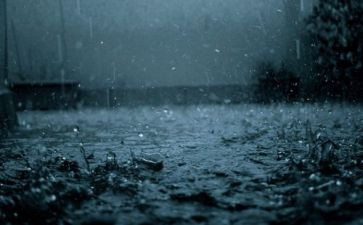 雨课堂教学心得体会参考5篇