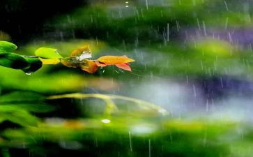 雨课堂教学心得体会模板8篇