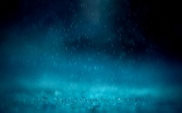 雨天优秀作文7篇