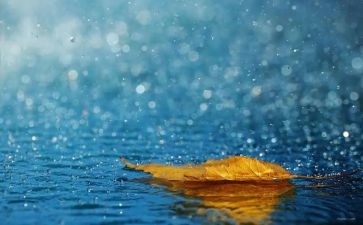 中班语言教案下雨了教案7篇
