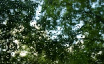 《大雨小雨》教案5篇