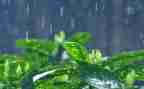 雨来演讲稿1000字8篇
