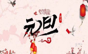 中班的元旦活动方案精选7篇