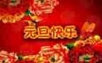 中班的元旦活动方案8篇
