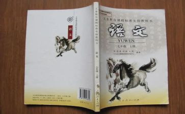 教师小四语文工作总结范文优秀5篇