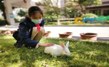 育子事迹材料推荐6篇