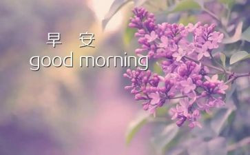 早教老师的心得体会6篇