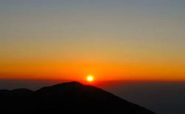 上早教心得体会通用7篇