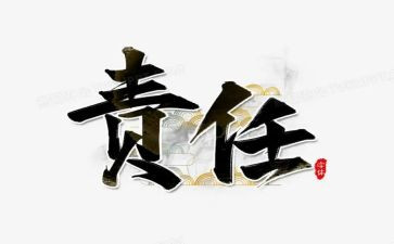 赢在责任心胜在执行力心得体会6篇