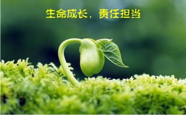 工作就是责任心得体会5篇