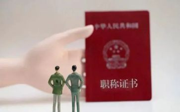 正高级工程师评审个人总结7篇