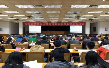 镇统计办工作总结优质5篇