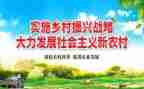 乡村振兴工作总结2023优质6篇