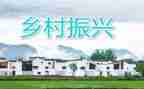 乡村振兴工作总结2023通用8篇