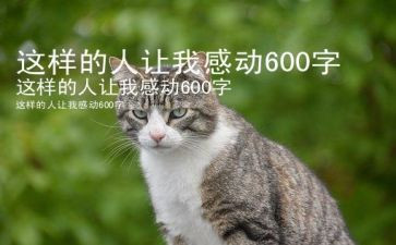我这样的人作文600字最新6篇