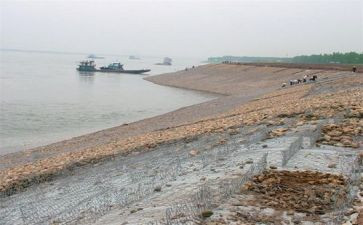 机泵治理活动方案5篇