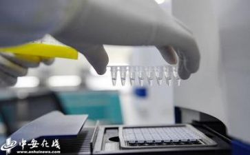 质量安全做的工作计划6篇