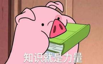 培训安全知识心得体会8篇