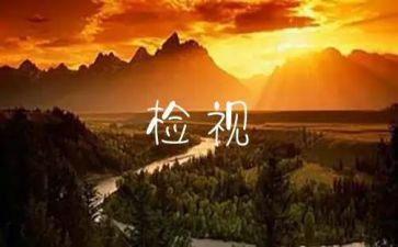 医院工作自检自查报告8篇