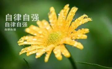 自立自强作文600字8篇