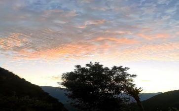 爱自然作文800字6篇