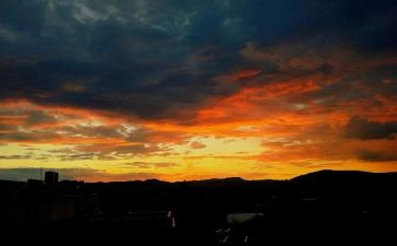 关于爱自然的作文参考7篇