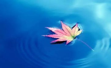 自然安全教案5篇