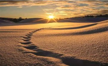 《走过》作文推荐5篇