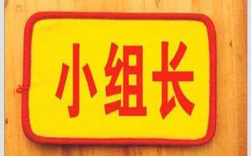 组长述职报告2023范文模板5篇