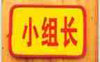 教研总组长述职报告优秀8篇