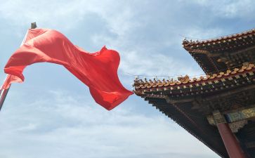 唱我的祖国心得体会6篇