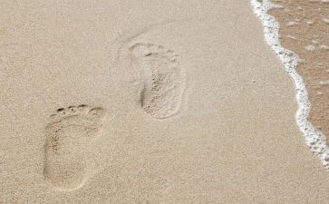 足迹作文600字8篇