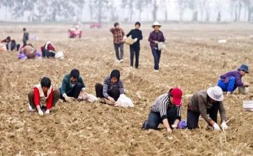 租赁广告位合同8篇