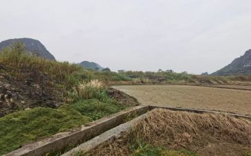 货场租赁合同5篇
