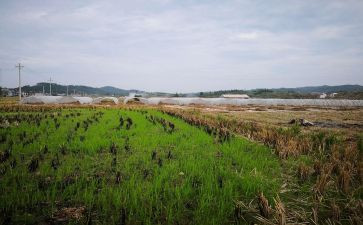 简洁房屋租赁合同精选8篇