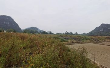 最新商铺租赁合同模板6篇
